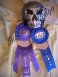 Horncover/Hupencover "Silver Skull" 1st place,Best of Category 2012 